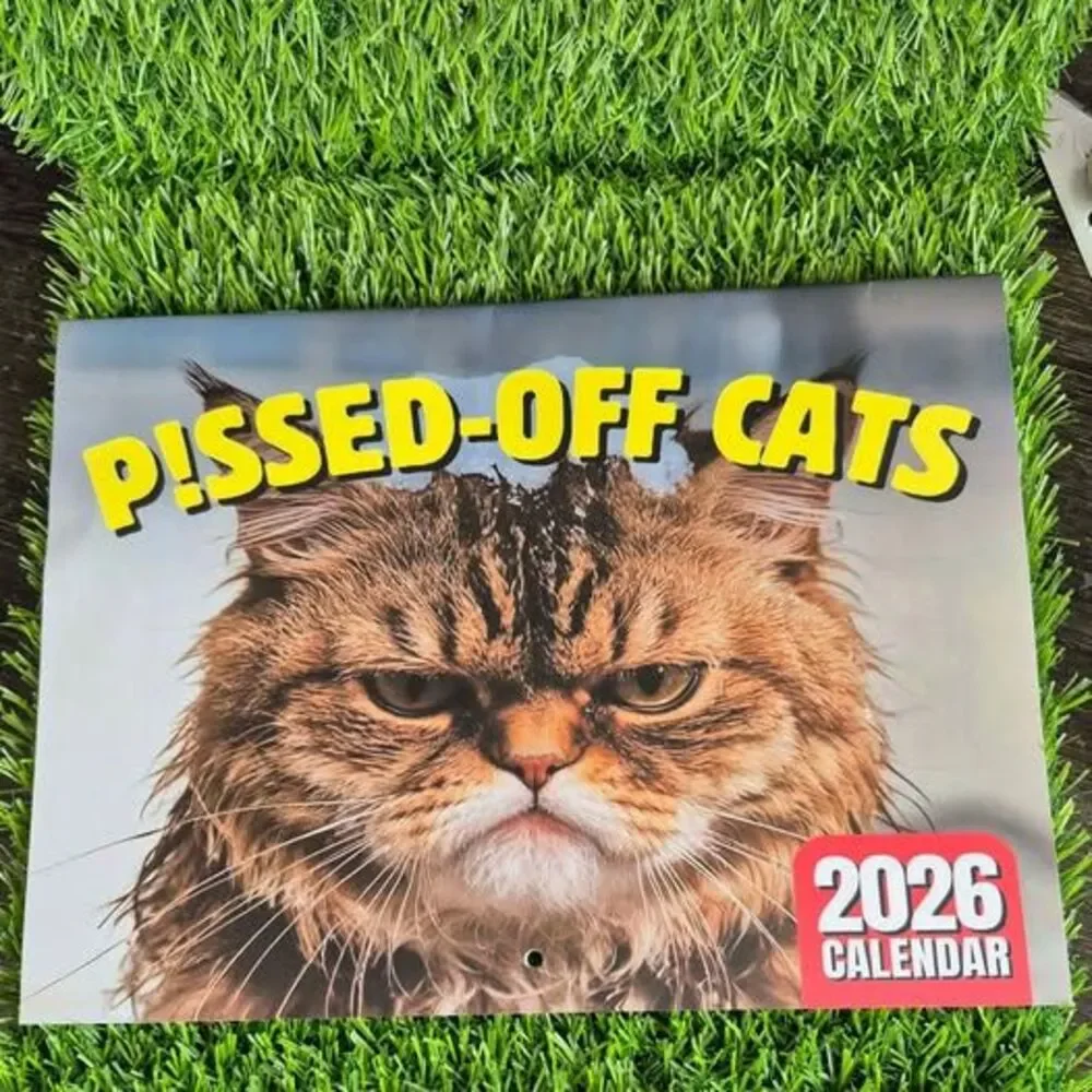 'Pissed Off Cats' 2026 Calendar - New